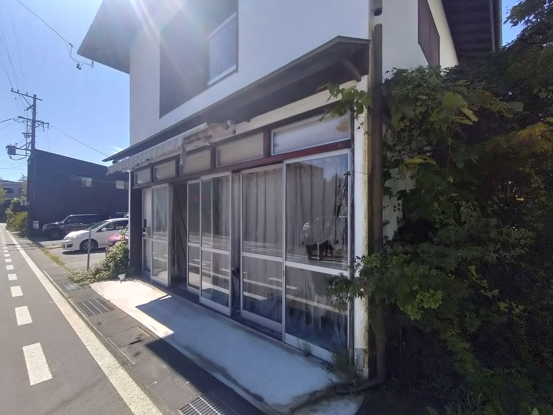 写真